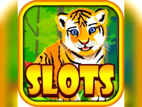 50% Casino Welcome Bonus at bWin Casino
