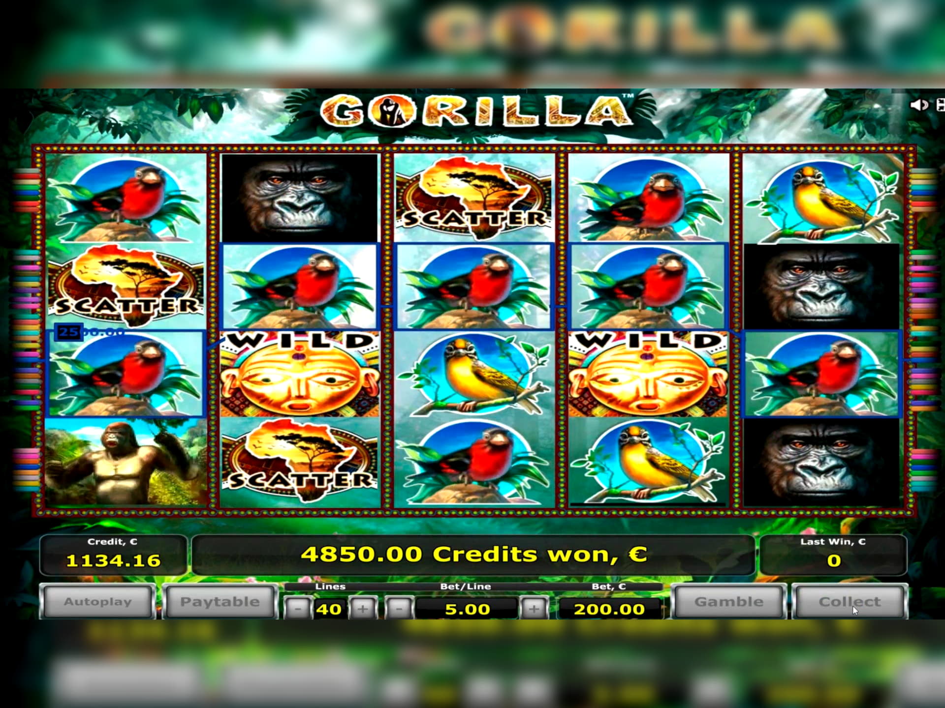 EURO 2955 no deposit bonus code at Mansion Casino