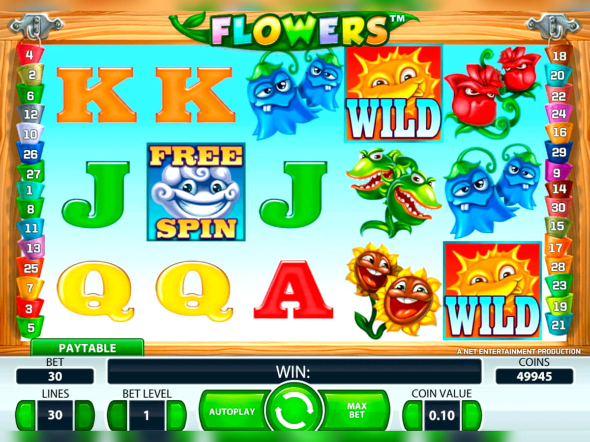 330% No Rules Bonus! at Casino Cruise