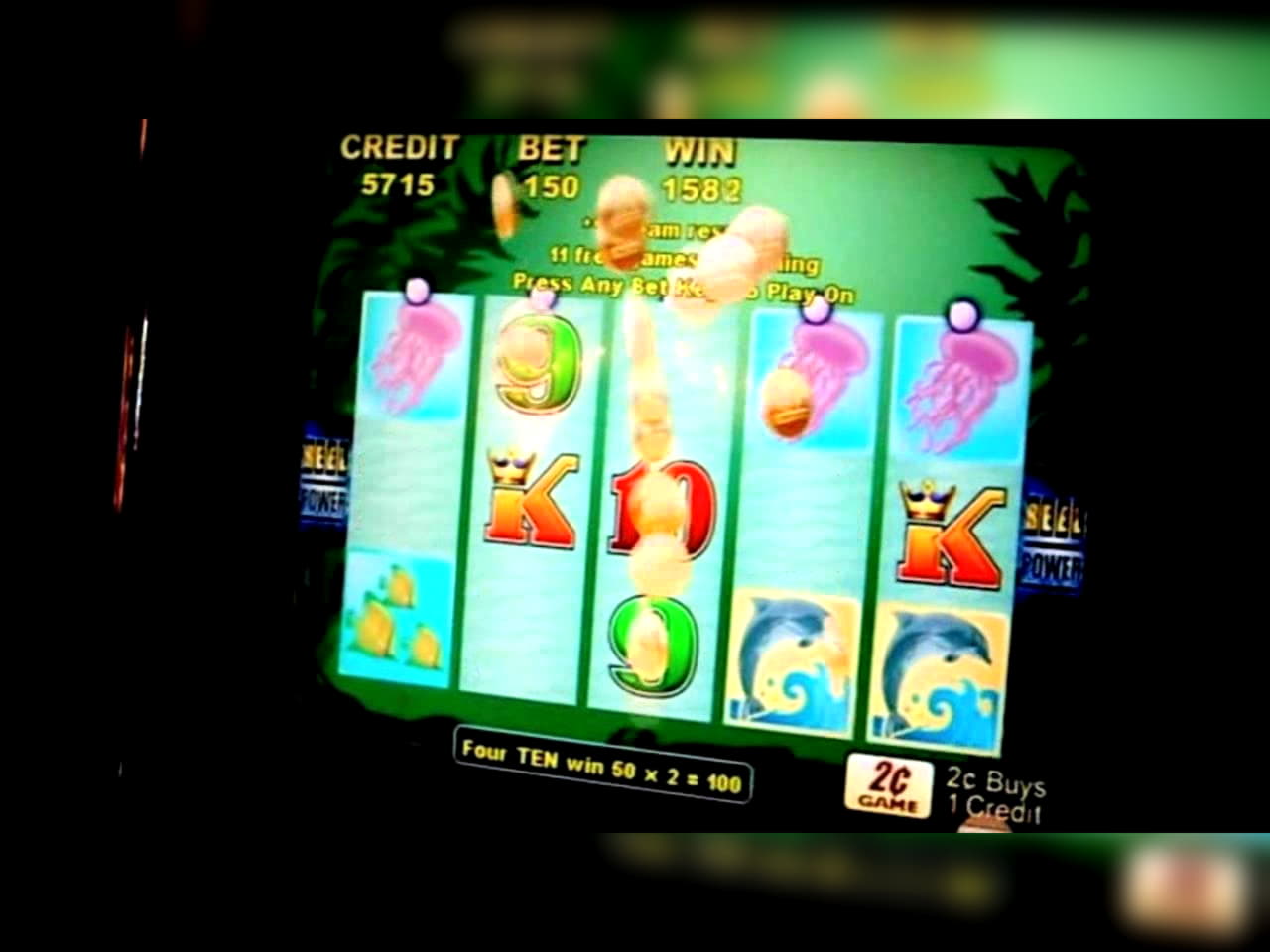 £725 Daily freeroll slot tournament at bWin Casino