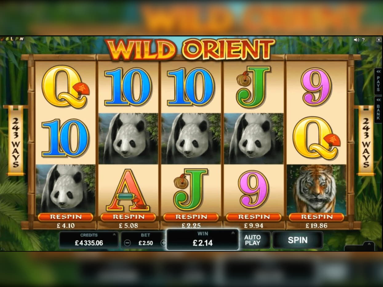 120 Loyal Free Spins! at Casino Share