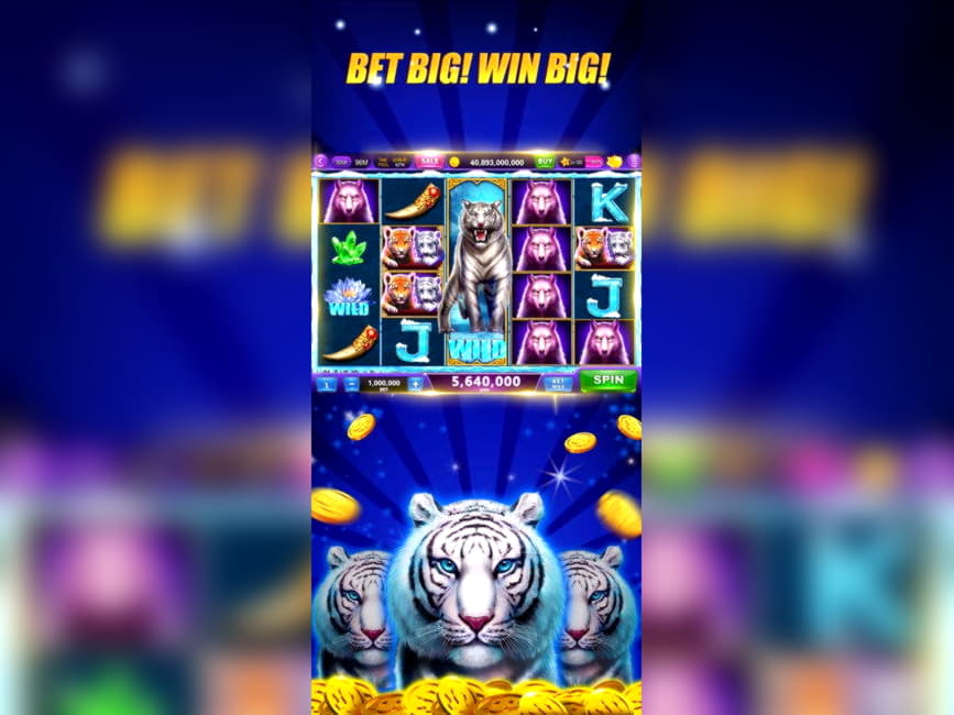Eur 275 Free casino chip at Casino com