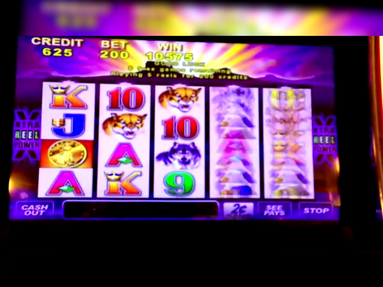 EUR 350 Tournament at Golden Star Casino