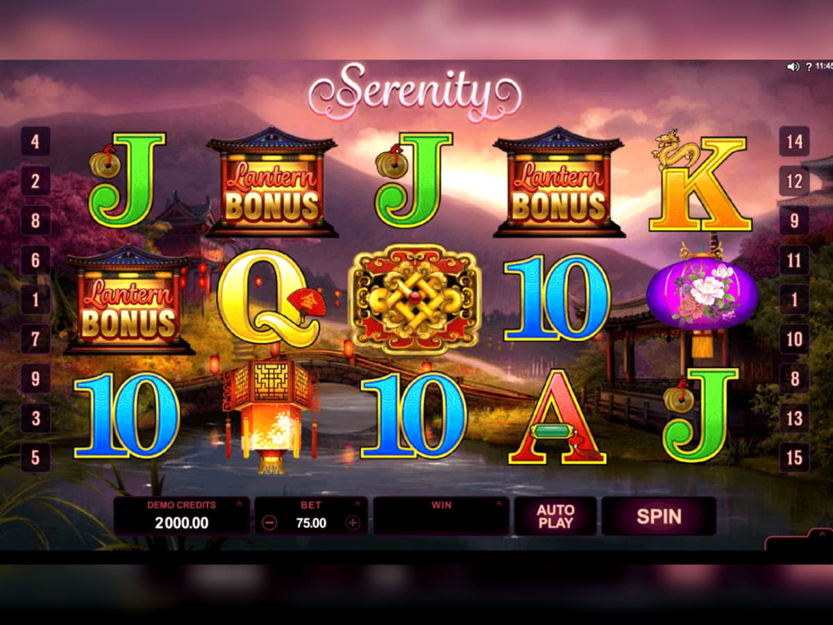 ﻿$945 Daily freeroll slot tournament at Casino Cruise