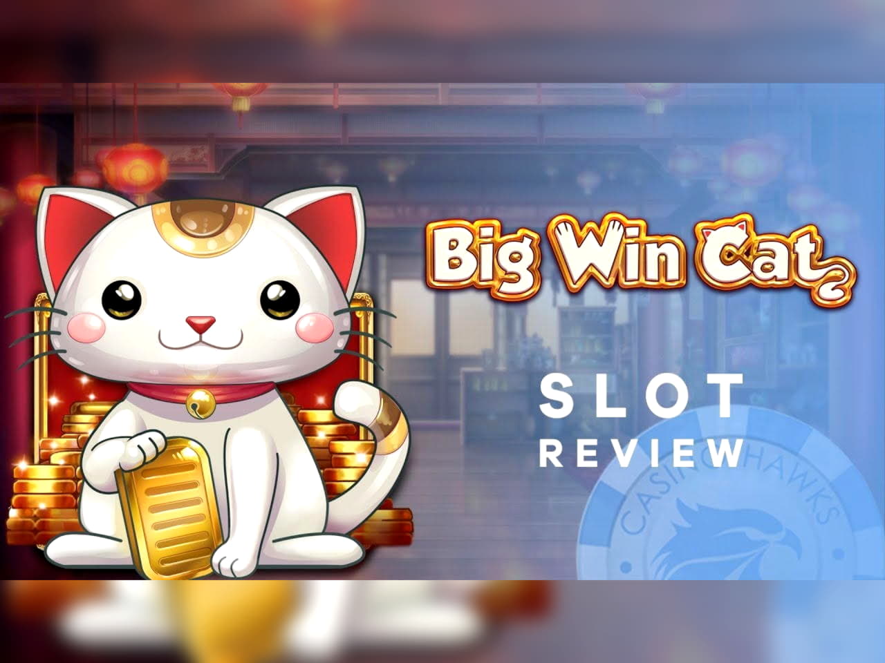 €22 Daily freeroll slot tournament at Casino Share