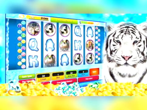 €1555 No deposit casino bonus at Casino Cruise