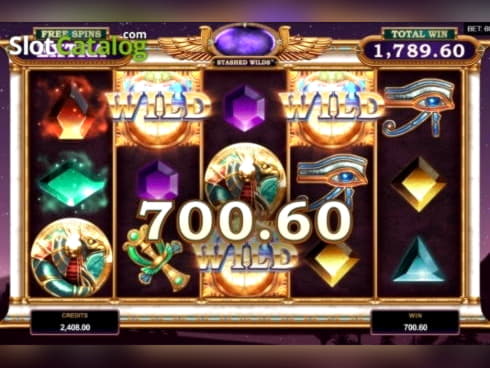 ﻿$200 Daily freeroll slot tournament at Casino Share