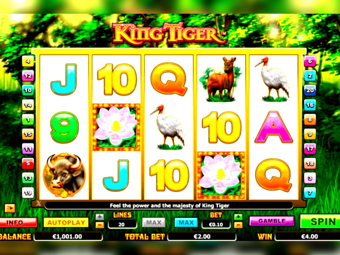 EUR 77 Online Casino Tournament at Casino Action