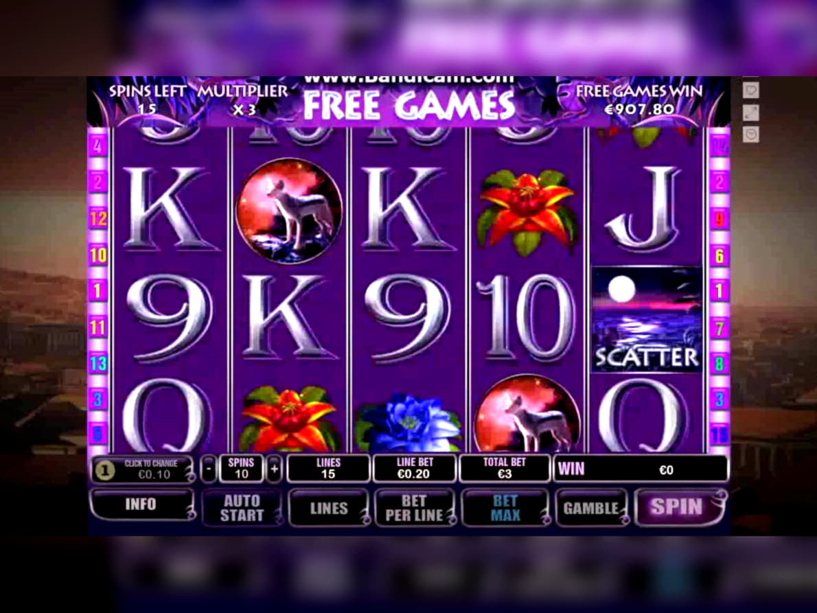 185 Free spins no deposit at Slots Million Casino