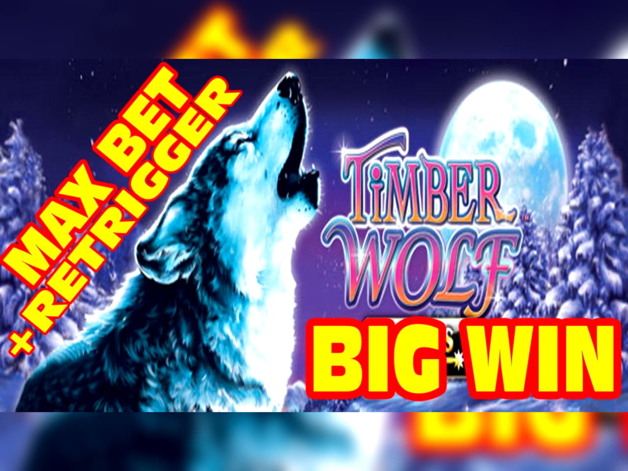 Eur 4595 No deposit bonus casino at Red Stag Casino