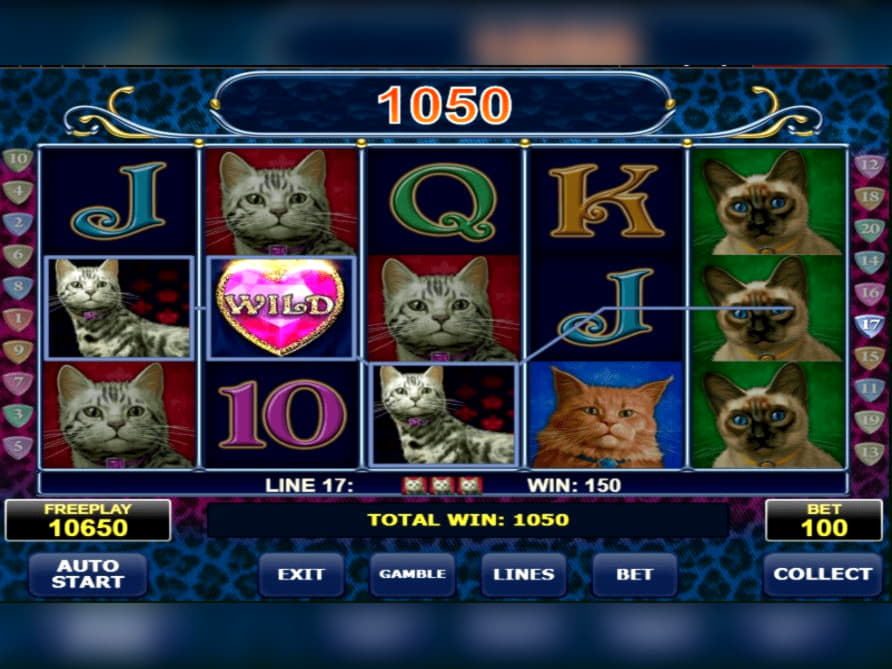 $645 Tournament at 888 Casino