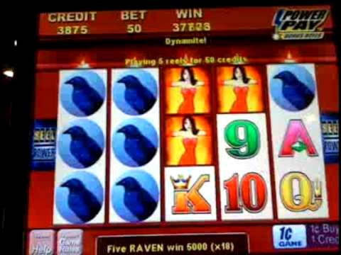 155 free spins casino at Casino Cruise