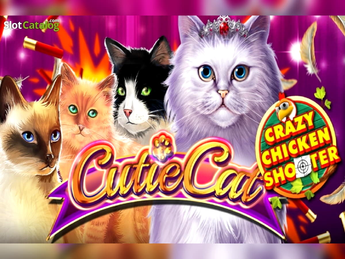 €805 Online Casino Tournament at Dafa Bet Casino