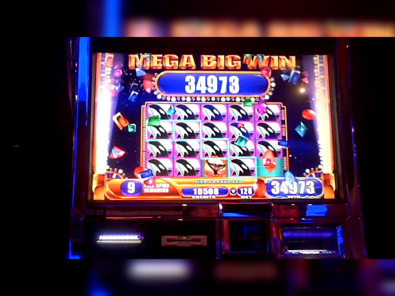 250 free spins no deposit casino at Emu Casino
