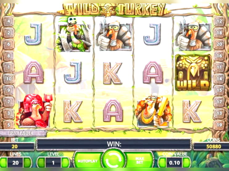 480% Signup Casino Bonus at bWin Casino