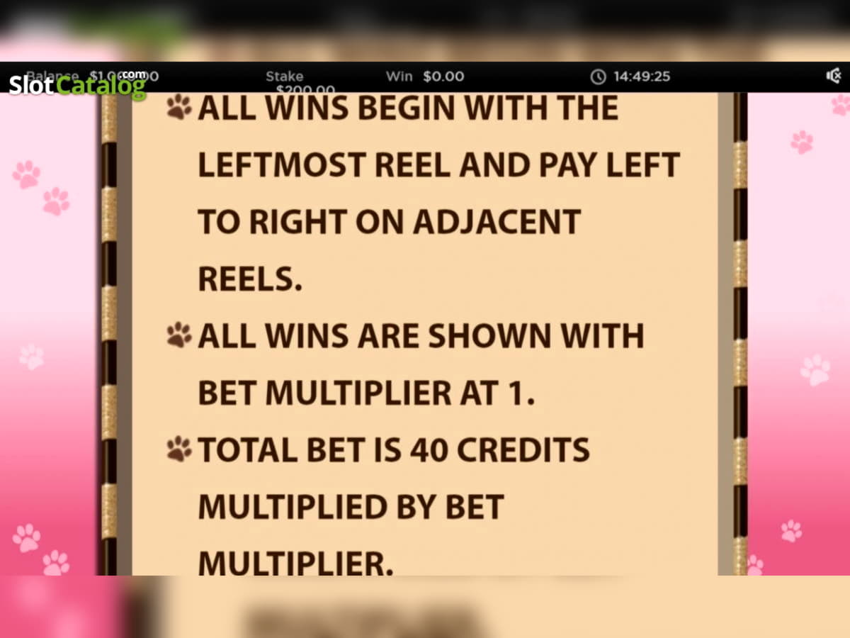 EUR 2795 No Deposit Bonus at Power Spins Casino