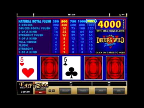 EURO 480 Daily freeroll slot tournament at Emu Casino