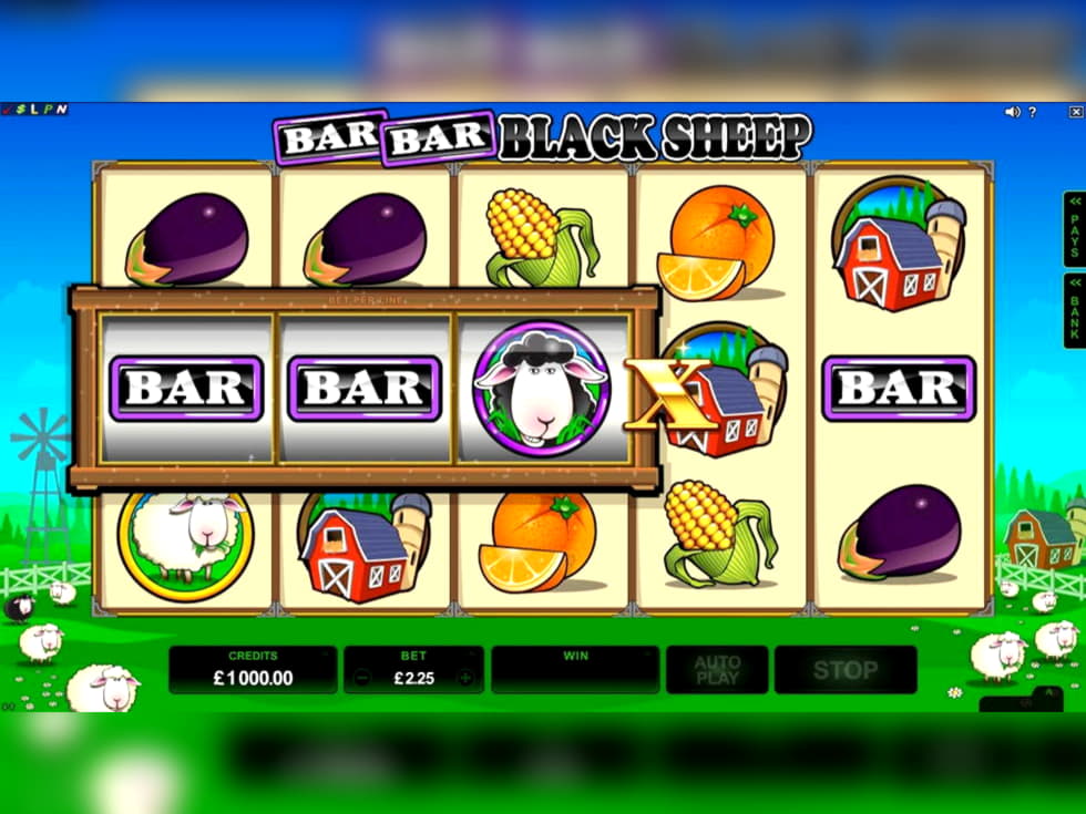 EURO 310 free casino chip at Miamidice Casino
