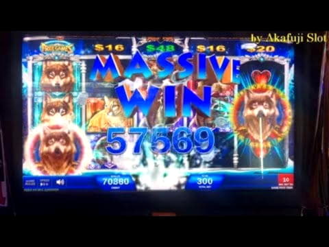 44 FREE Spins at Red Stag Casino