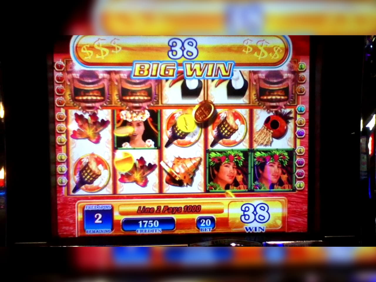 250 FREE Spins at Miamidice Casino
