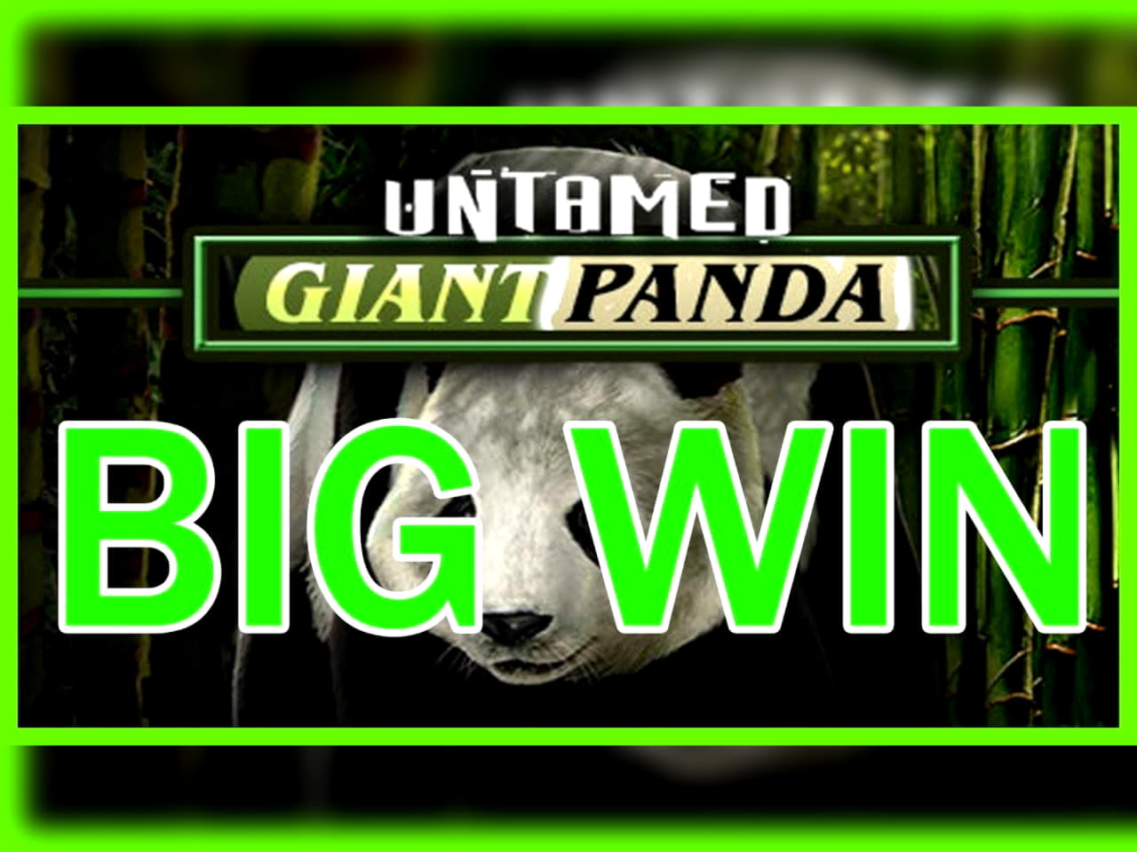 225 Loyalty Free Spins! at BranGo Casino