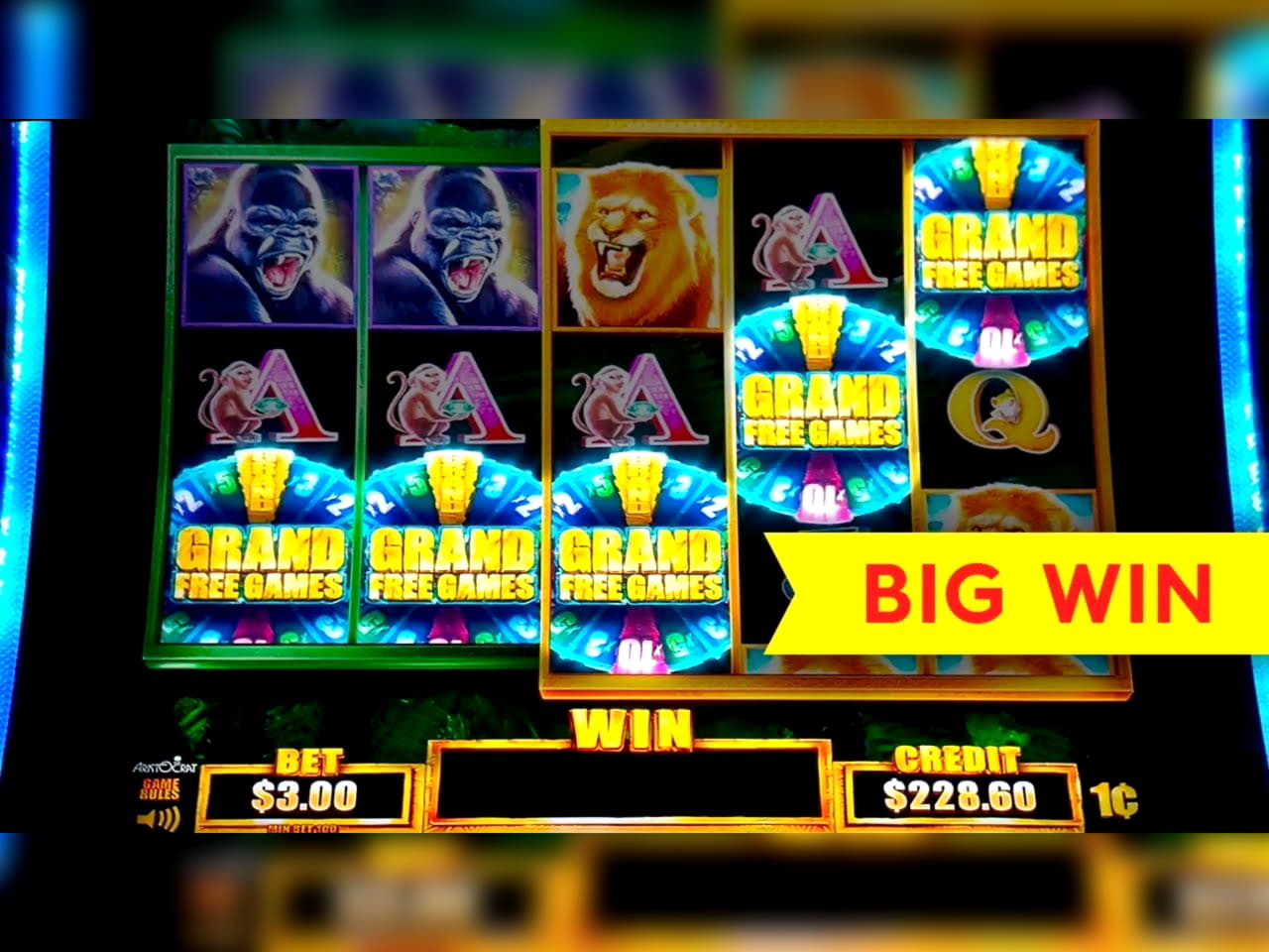 Eur 495 Casino Chip at Royal Panda Casino