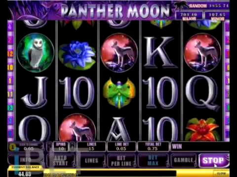 99 Free spins at Casino Cruise