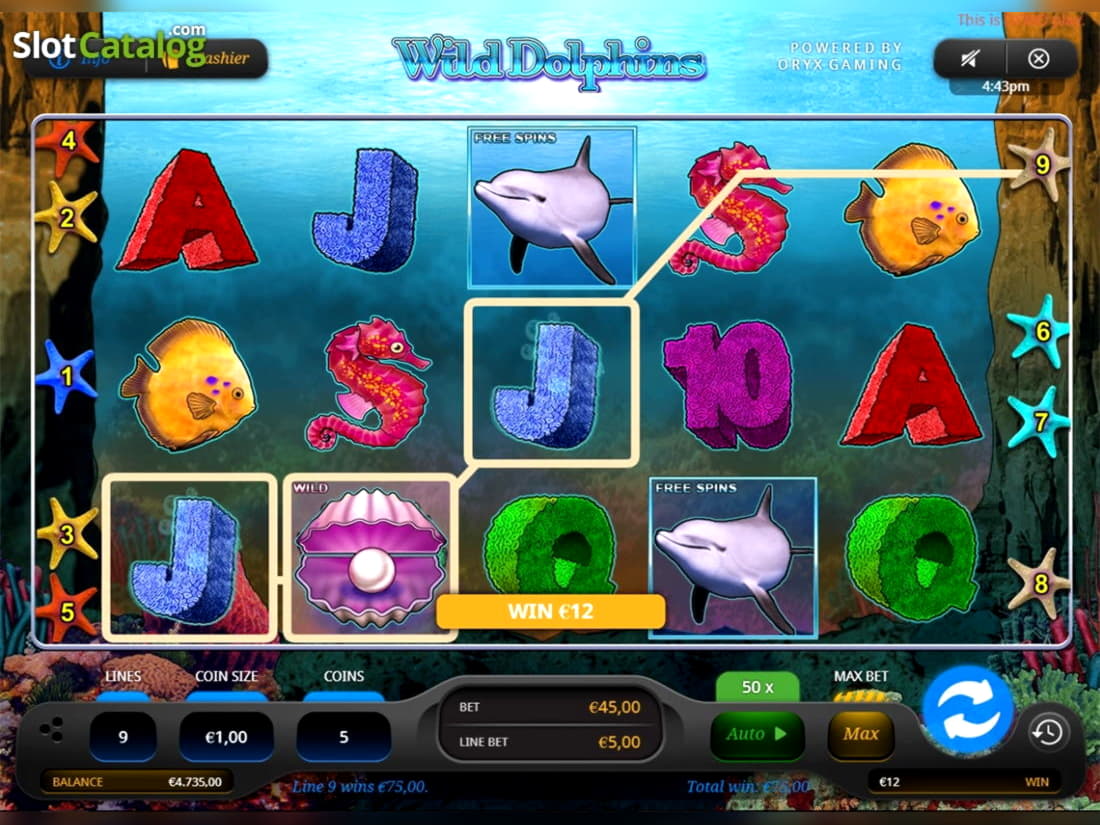 Eur 590 Free chip casino at Estonia Casino 