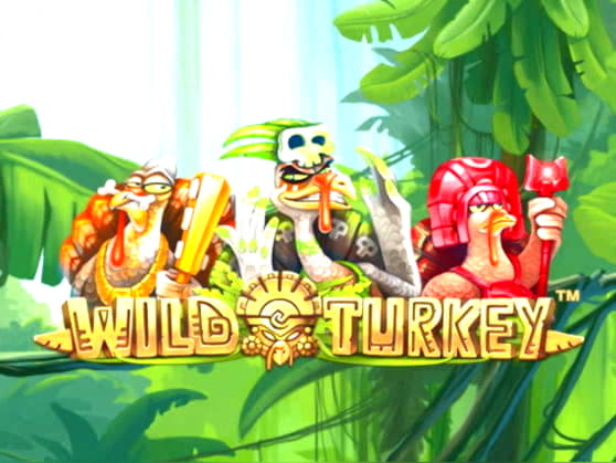 €740 Online Casino Tournament at Mansion Casino