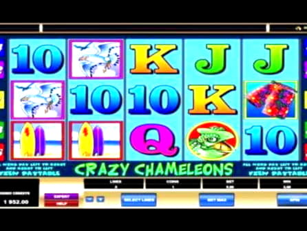 405% Signup casino bonus at Emu Casino
