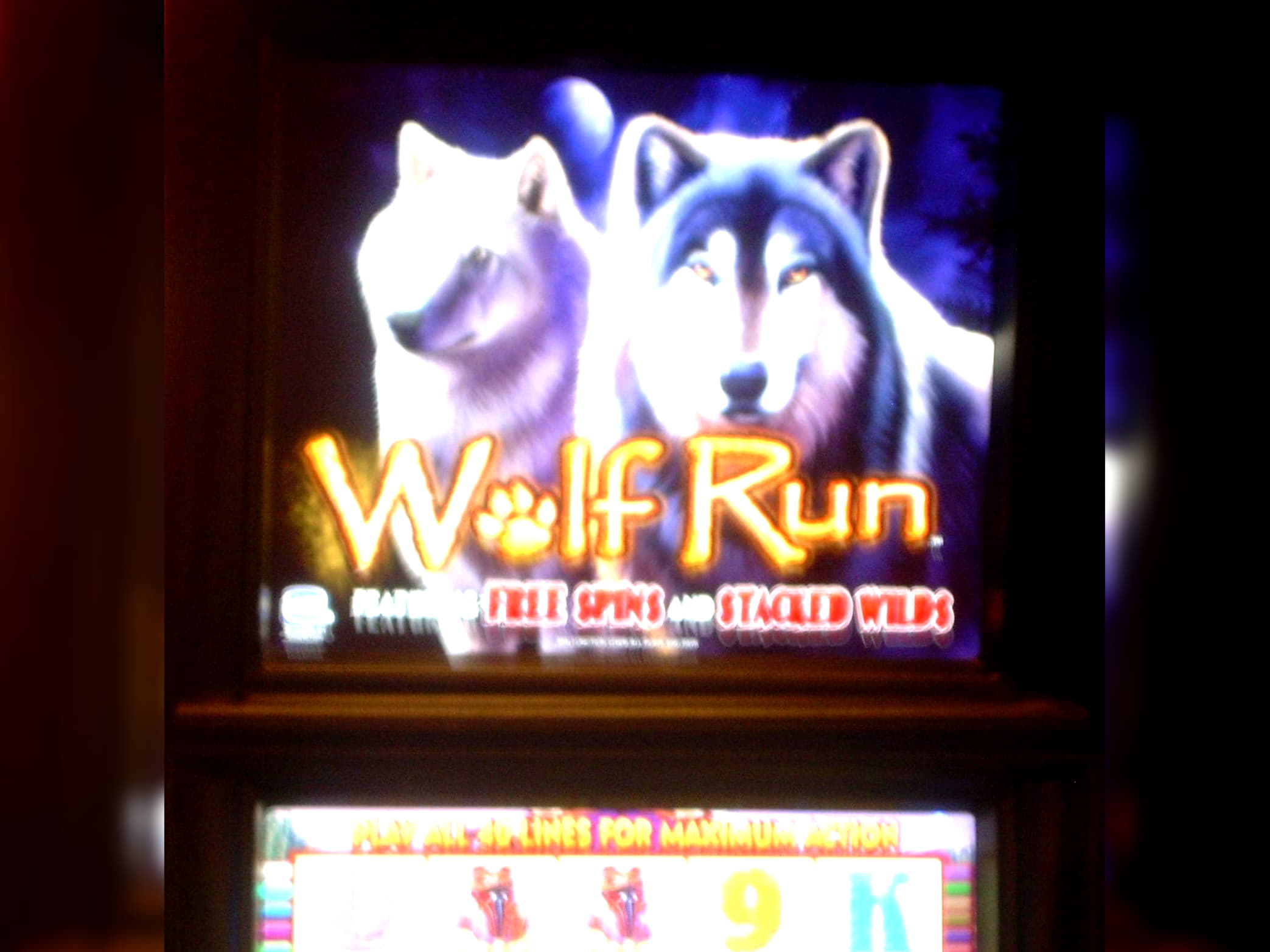 Eur 165 Free Money at Emu Casino