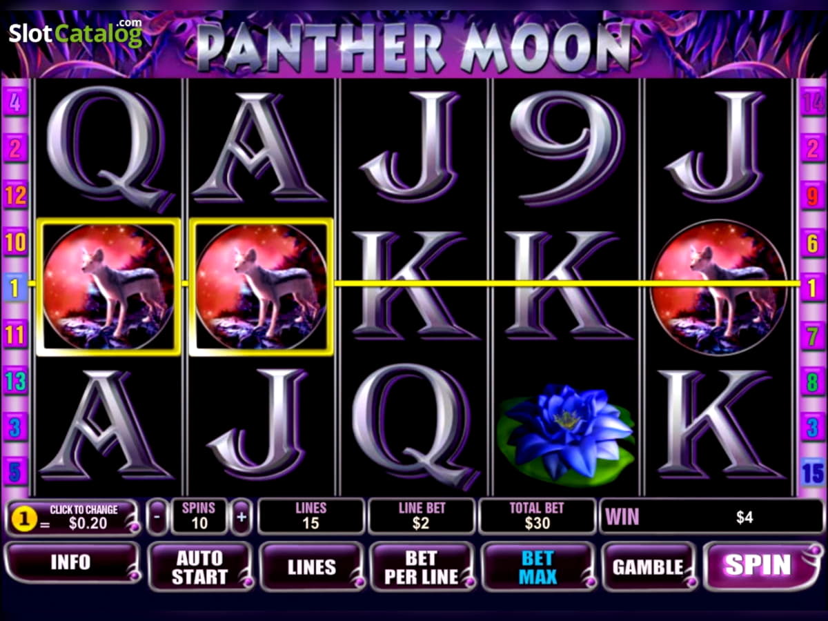 115 Free spins at Miamidice Casino