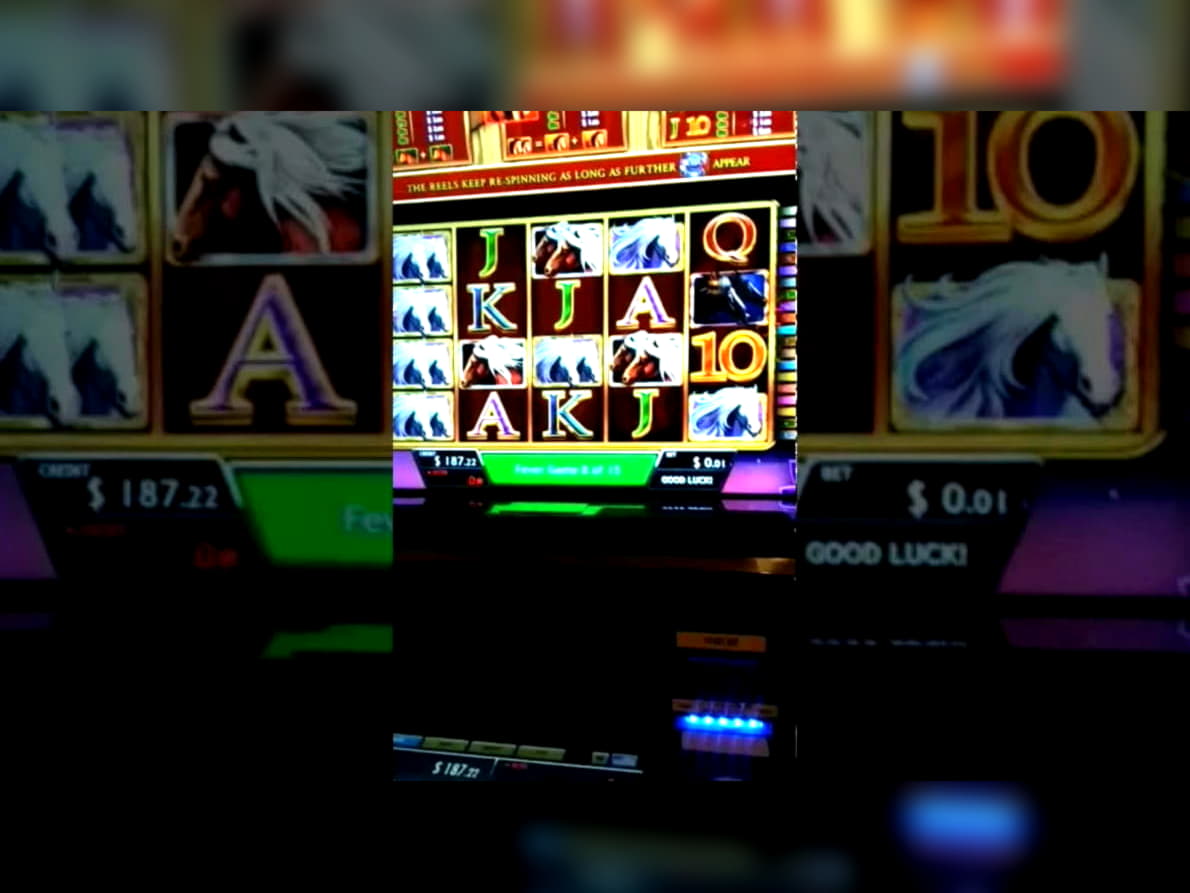 €730 Casino Tournament at No Bonus Casino