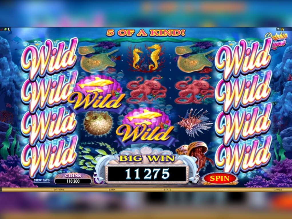 $550 Casino Tournament at No Bonus Casino