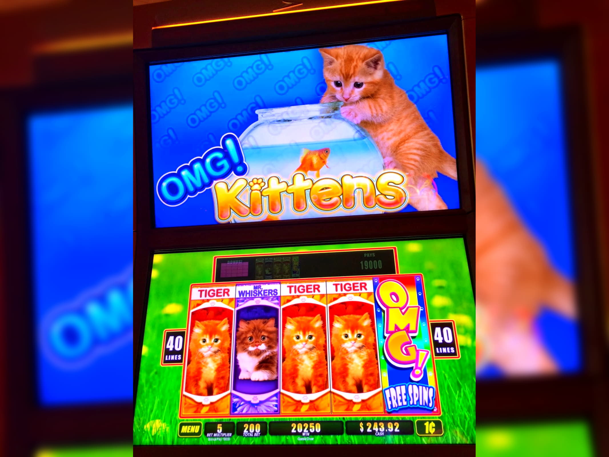 $70 Free Casino Tournament at Dafa Bet Casino