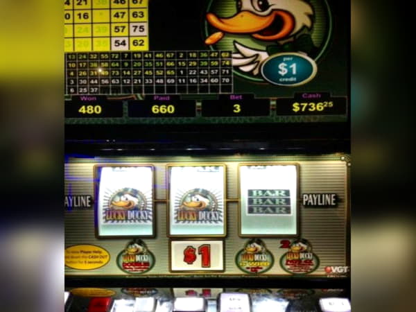 Eur 390 Free Money at Red Bet Casino
