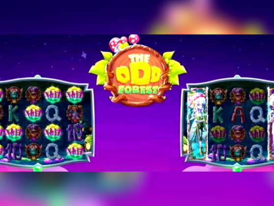 €395 Tournament at Win A Day Casino
