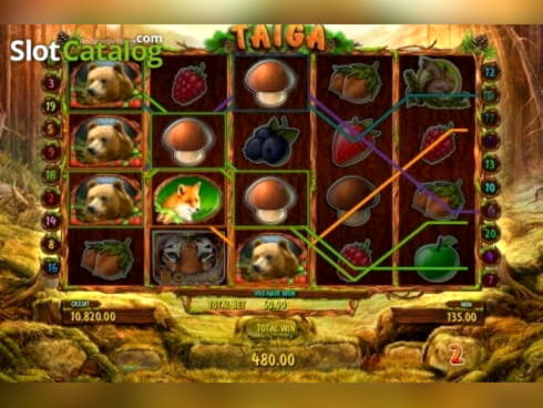 785% No Rules Bonus! at Superior Casino
