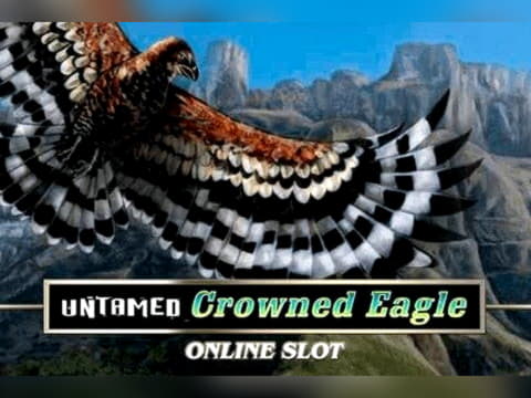 $666 Free Money at No Bonus Casino