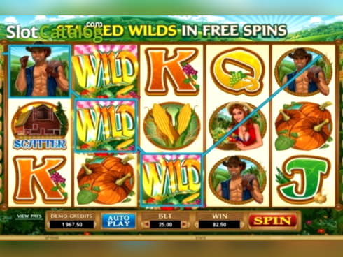 22 Free Spins right now at Win A Day Casino