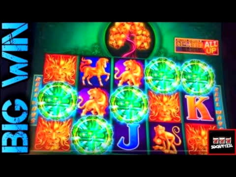 740% First Deposit Bonus at Casino Action