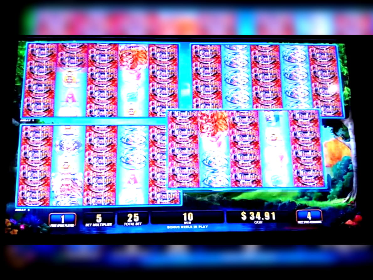 €705 Daily freeroll slot tournament at Casino Cruise