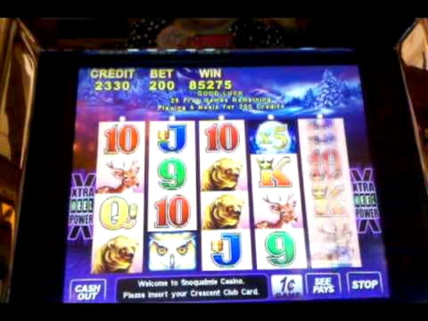 EUR 3030 No deposit bonus at Emu Casino