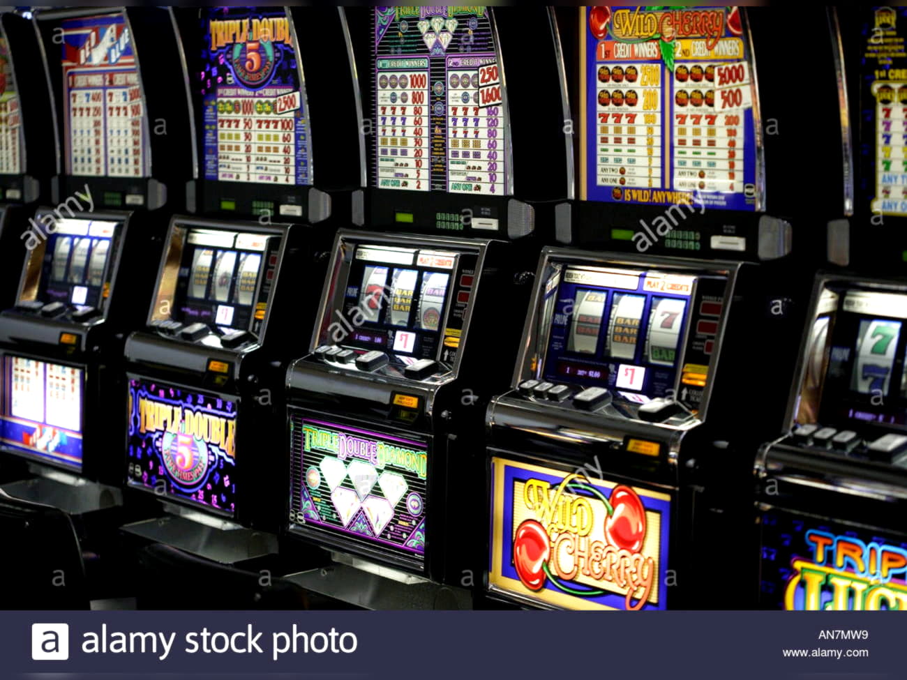 480% Match at a casino at Royal Panda Casino