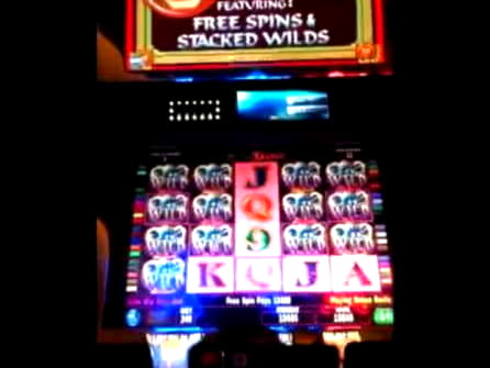 EURO 2265 NO DEPOSIT at Dafa Bet Casino