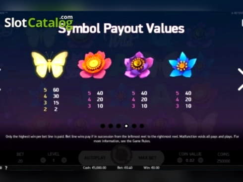 €4930 NO DEPOSIT BONUS at Golden Star Casino