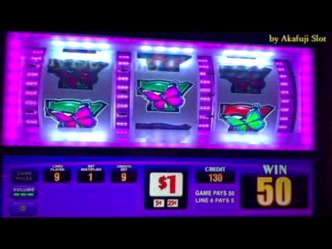 $635 Online Casino Tournament at bWin Casino