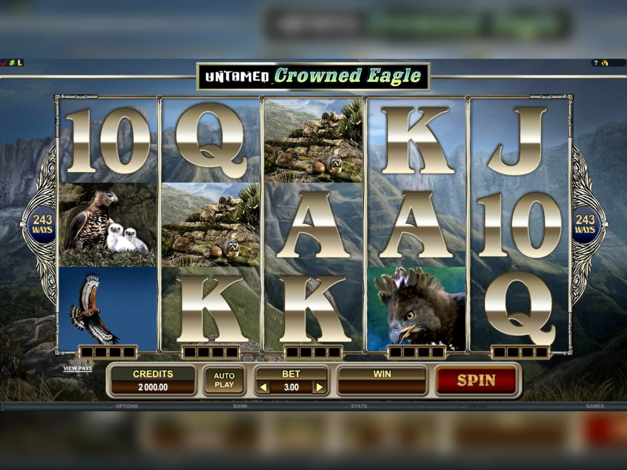 295 free spins casino at Estonia Casino 