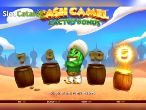 €935 Tournament at Casino Cruise