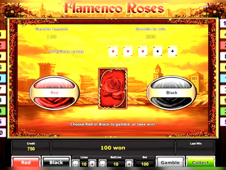 $555 Free chip casino at BranGo Casino